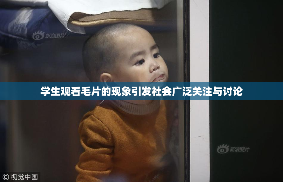 学生观看毛片的现象引发社会广泛关注与讨论