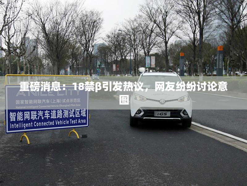 重磅消息：18禁β引发热议，网友纷纷讨论意图