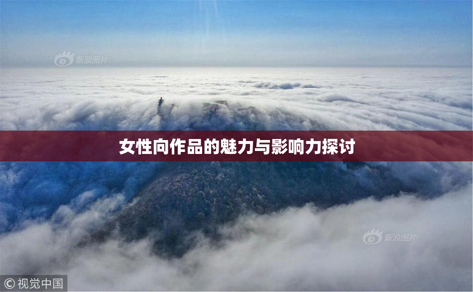 女性向作品的魅力与影响力探讨