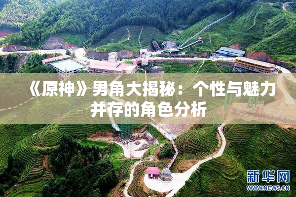 《原神》男角大揭秘：个性与魅力并存的角色分析