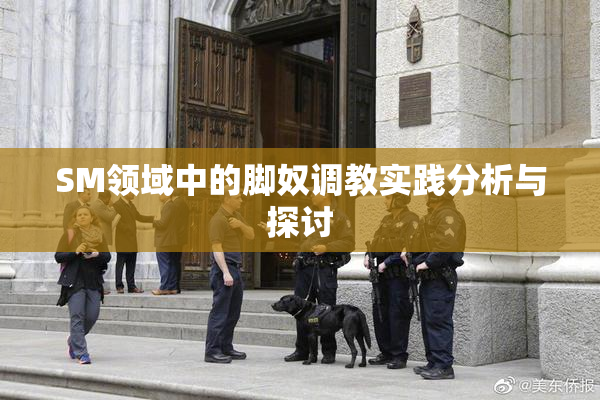 SM领域中的脚奴调教实践分析与探讨