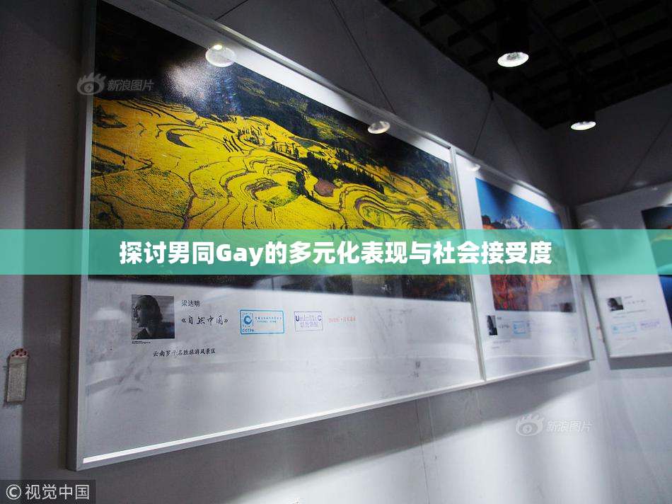 探讨男同Gay的多元化表现与社会接受度
