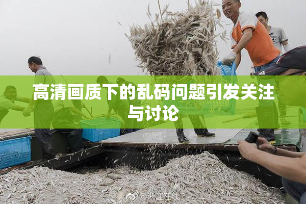 高清画质下的乱码问题引发关注与讨论