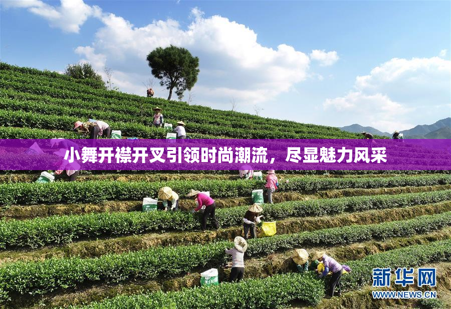 小舞开襟开叉引领时尚潮流，尽显魅力风采