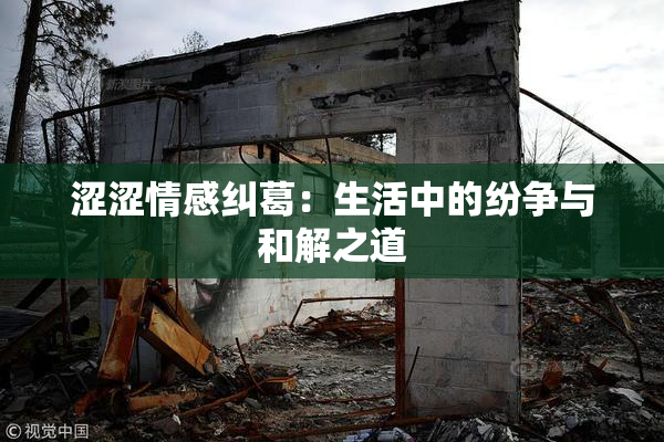 涩涩情感纠葛：生活中的纷争与和解之道