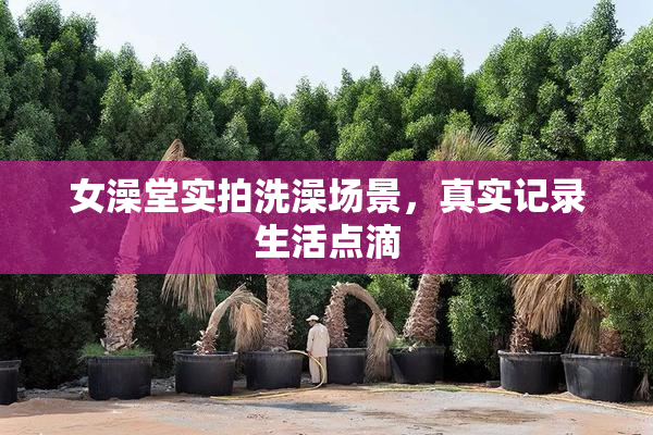 女澡堂实拍洗澡场景，真实记录生活点滴