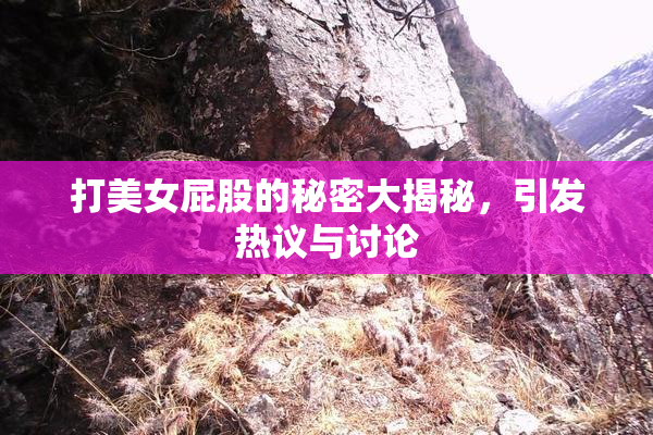 打美女屁股的秘密大揭秘，引发热议与讨论