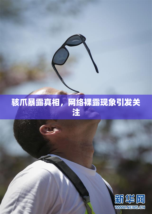骇爪暴露真相，网络裸露现象引发关注