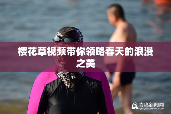樱花草视频带你领略春天的浪漫之美