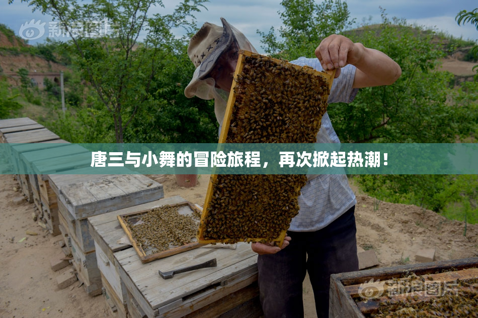 唐三与小舞的冒险旅程，再次掀起热潮！