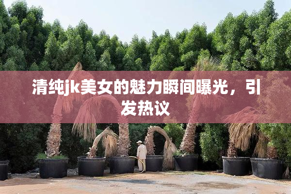 清纯jk美女的魅力瞬间曝光，引发热议