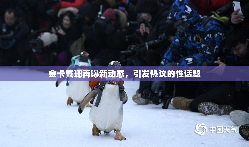金卡戴珊再曝新动态，引发热议的性话题