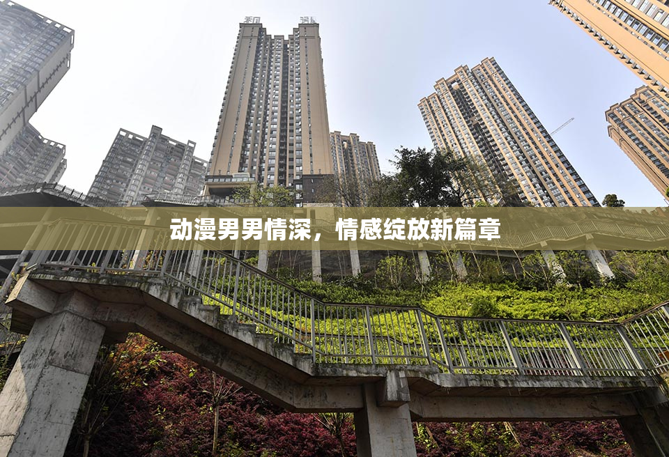 动漫男男情深，情感绽放新篇章