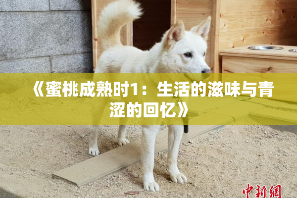 《蜜桃成熟时1：生活的滋味与青涩的回忆》