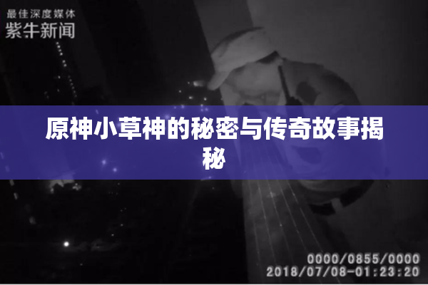 原神小草神的秘密与传奇故事揭秘