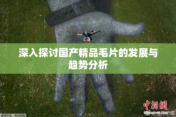 深入探讨国产精品毛片的发展与趋势分析