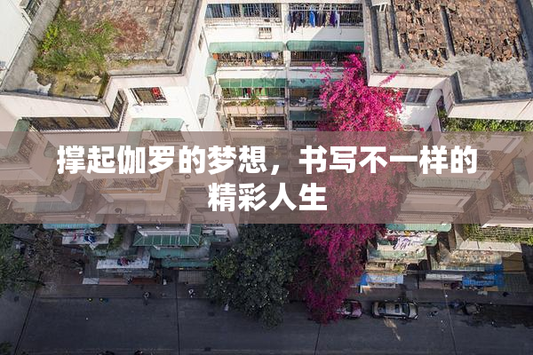 撑起伽罗的梦想，书写不一样的精彩人生