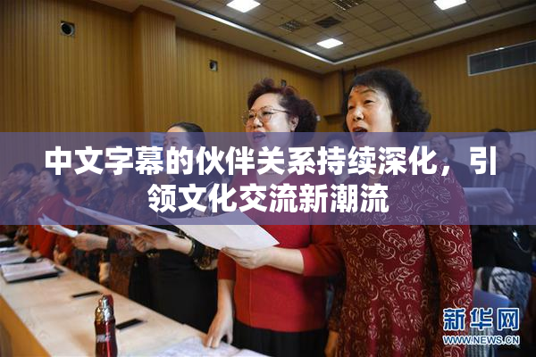 中文字幕的伙伴关系持续深化，引领文化交流新潮流
