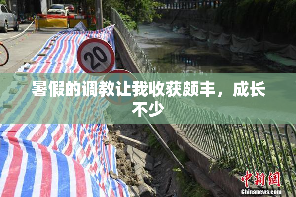 暑假的调教让我收获颇丰，成长不少