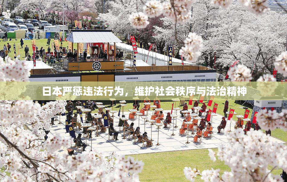 日本严惩违法行为，维护社会秩序与法治精神