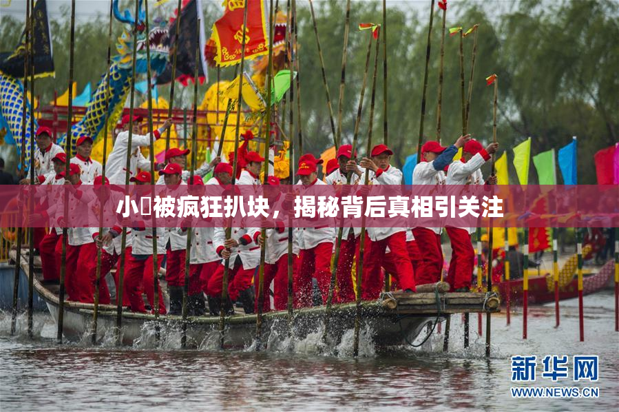 小泬被疯狂扒块，揭秘背后真相引关注