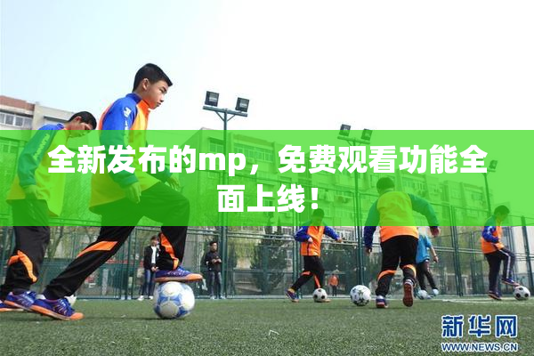 全新发布的mp，免费观看功能全面上线！