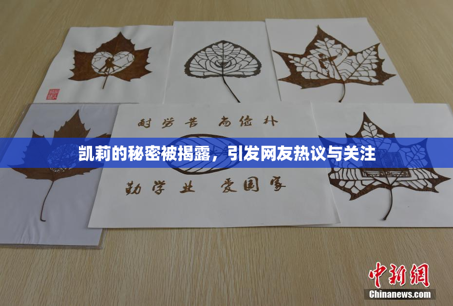 凯莉的秘密被揭露，引发网友热议与关注
