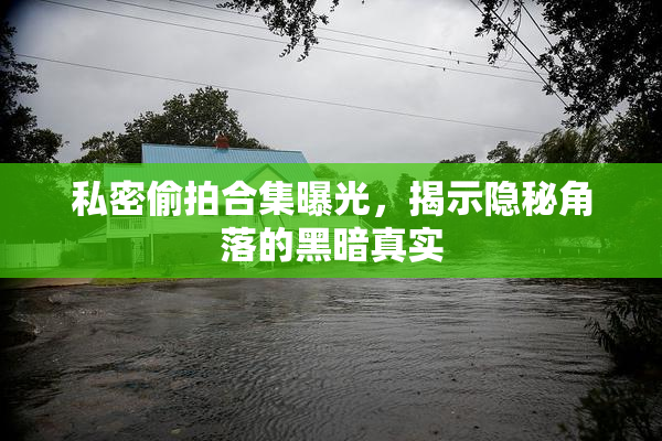 私密偷拍合集曝光，揭示隐秘角落的黑暗真实