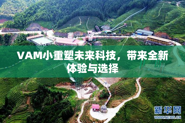 VAM小重塑未来科技，带来全新体验与选择