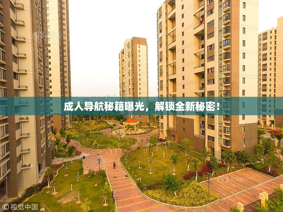 成人导航秘籍曝光，解锁全新秘密！