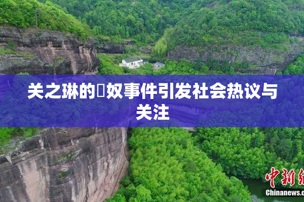 关之琳的婬奴事件引发社会热议与关注