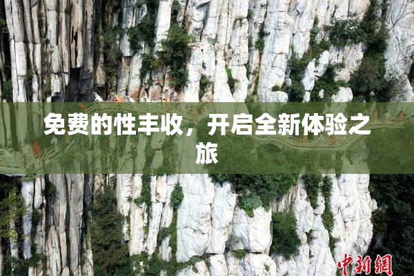 免费的性丰收，开启全新体验之旅
