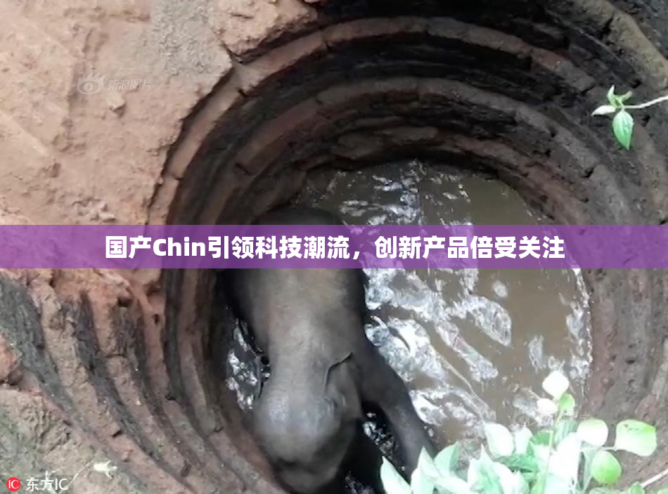 国产Chin引领科技潮流，创新产品倍受关注