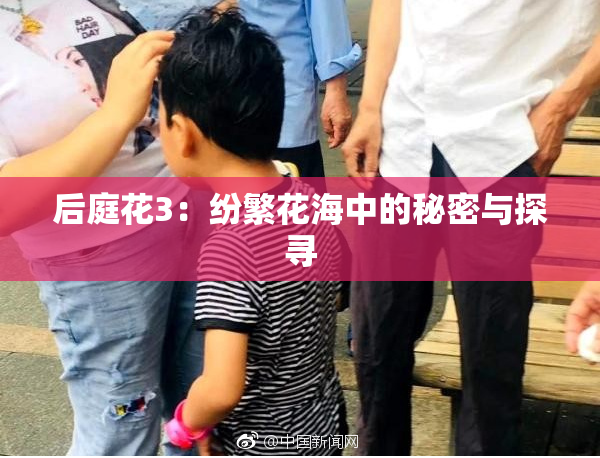 后庭花3：纷繁花海中的秘密与探寻