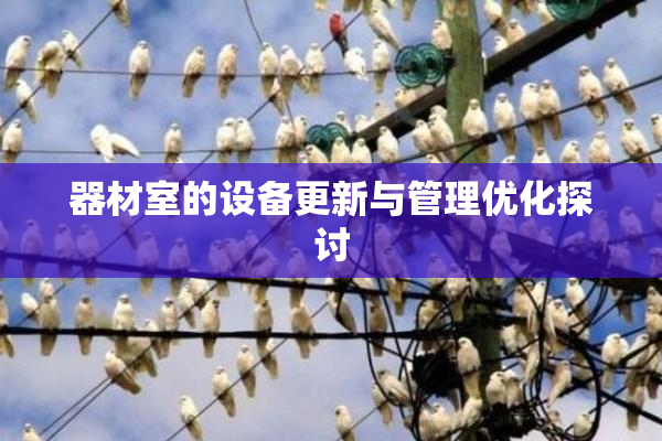 器材室的设备更新与管理优化探讨