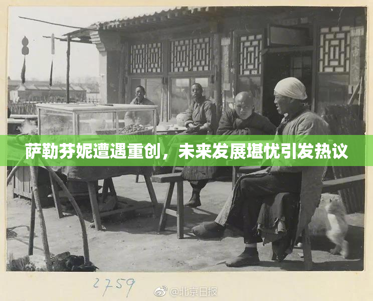 萨勒芬妮遭遇重创，未来发展堪忧引发热议