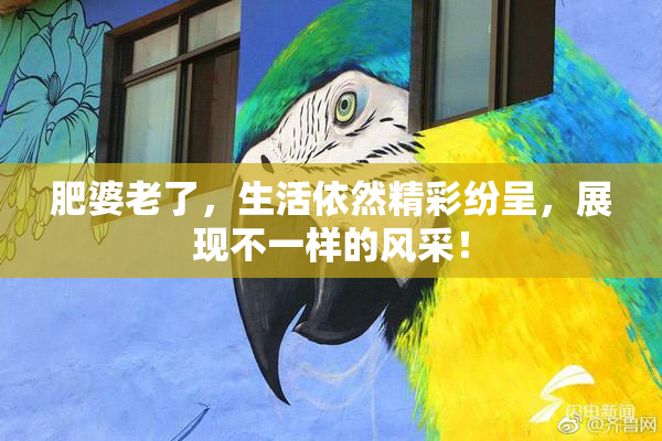 肥婆老了，生活依然精彩纷呈，展现不一样的风采！