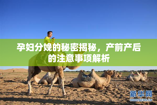 孕妇分娩的秘密揭秘，产前产后的注意事项解析