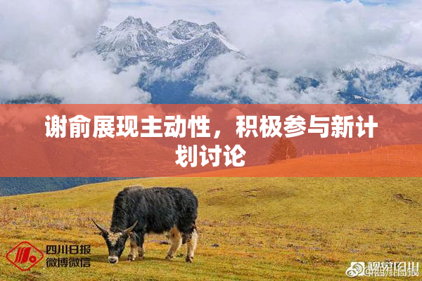 谢俞展现主动性，积极参与新计划讨论