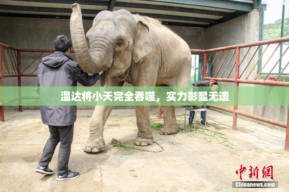 温达将小天完全吞噬，实力彰显无遗