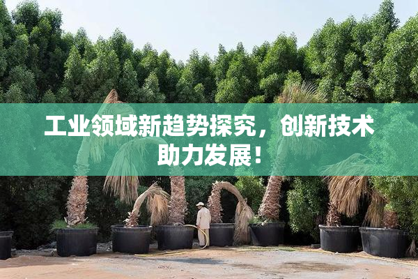 工业领域新趋势探究，创新技术助力发展！