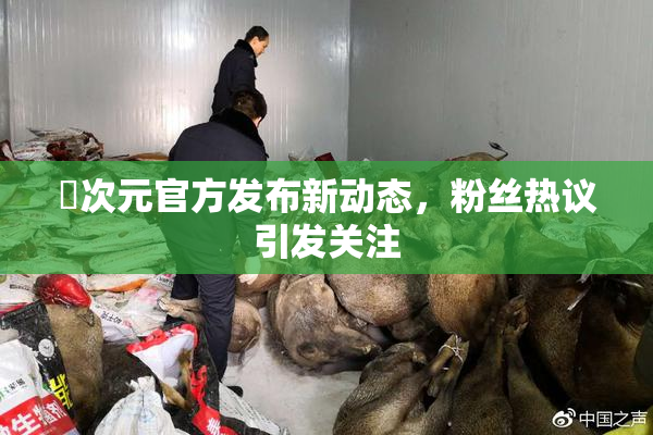 囧次元官方发布新动态，粉丝热议引发关注