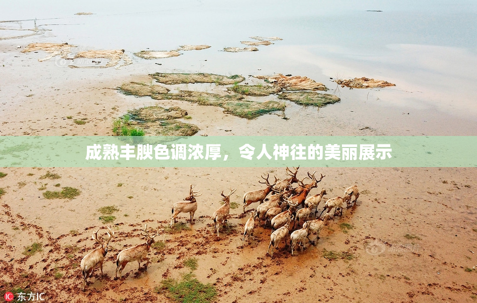 成熟丰腴色调浓厚，令人神往的美丽展示