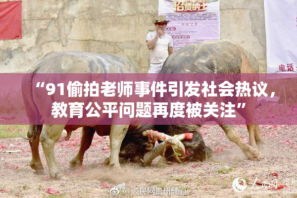 “91偷拍老师事件引发社会热议，教育公平问题再度被关注”
