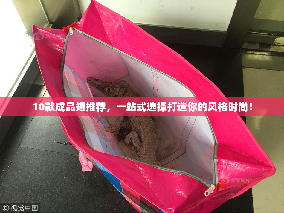 10款成品短推荐，一站式选择打造你的风格时尚！