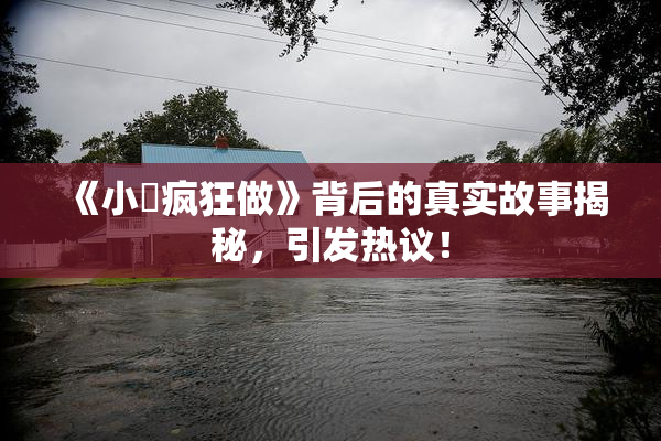 《小泬疯狂做》背后的真实故事揭秘，引发热议！