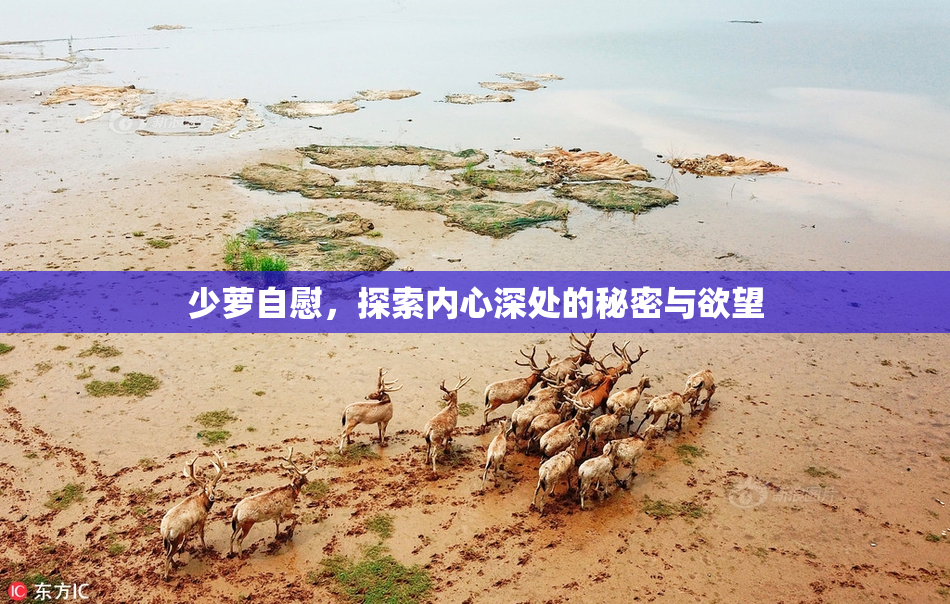 少萝自慰，探索内心深处的秘密与欲望