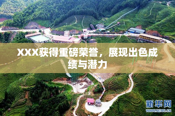XXX获得重磅荣誉，展现出色成绩与潜力