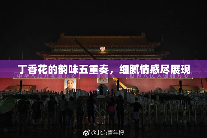 丁香花的韵味五重奏，细腻情感尽展现