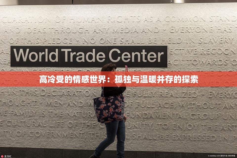 高冷受的情感世界：孤独与温暖并存的探索